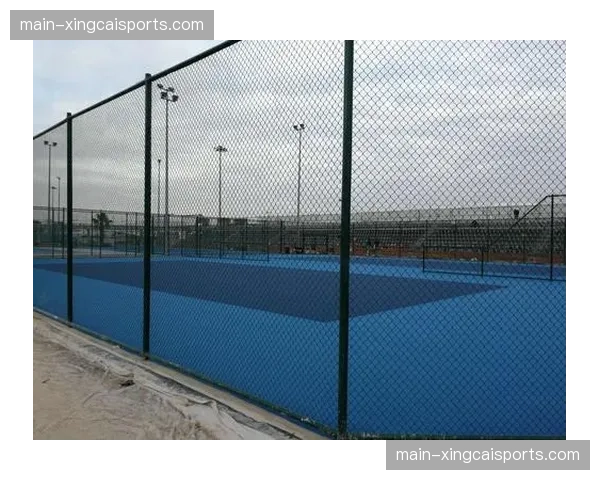 体育媒体生态在当前周期下沉社区 延伸了校园体育的辐射力